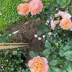 2-zimmer-ferienwohnung Mit 2 Balkons - Golf, Bike & Wellness Im Markgraeflerland! Appartamento *