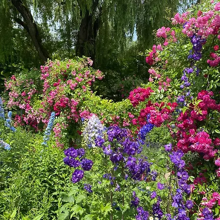 2-zimmer-ferienwohnung Mit 2 Balkons - Golf, Bike & Wellness Im Markgraeflerland! Διαμέρισμα *